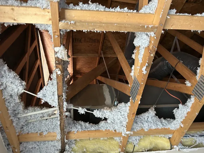 Disaster Services San Tan Valley Picture 10