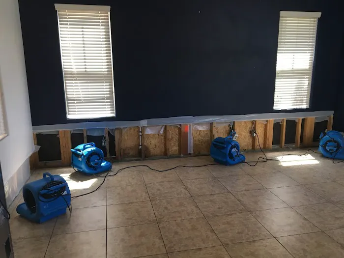 Dire Restoration Picture 3