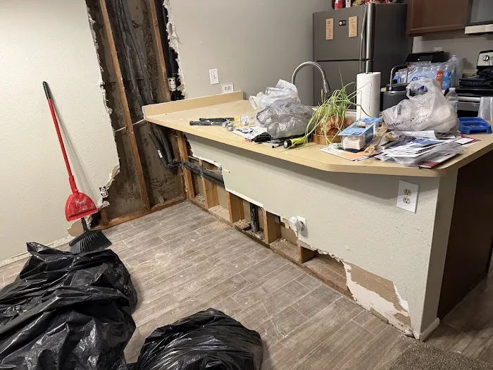 Dire Restoration Picture 4