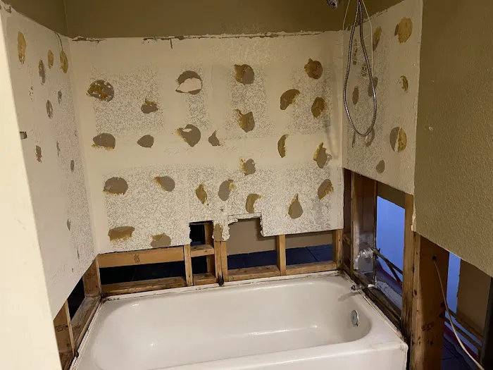 Dire Restoration Picture 10