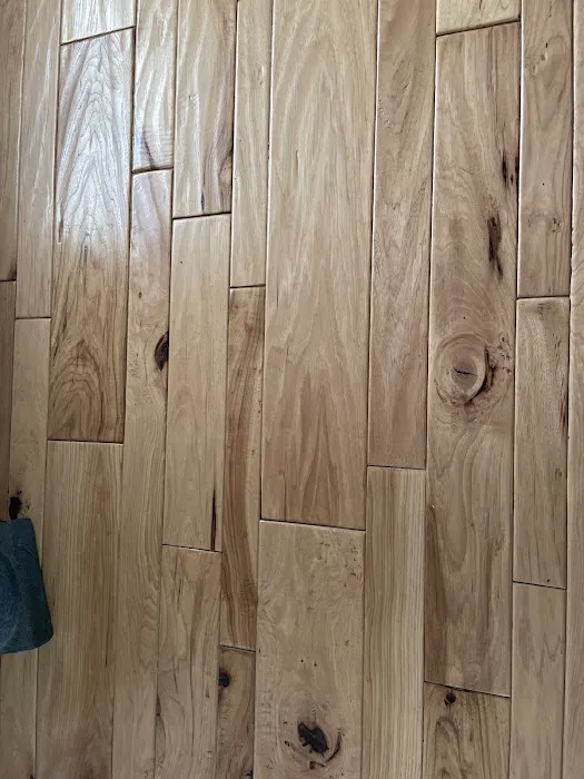 Blue Dingo Restoration & Remodel LLC Picture 4