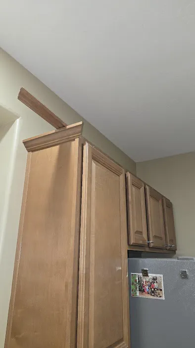 Blue Dingo Restoration & Remodel LLC Picture 6