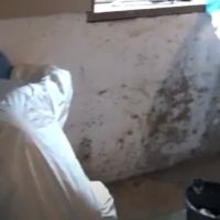 Urgent Mold Removal San Antonio ico
