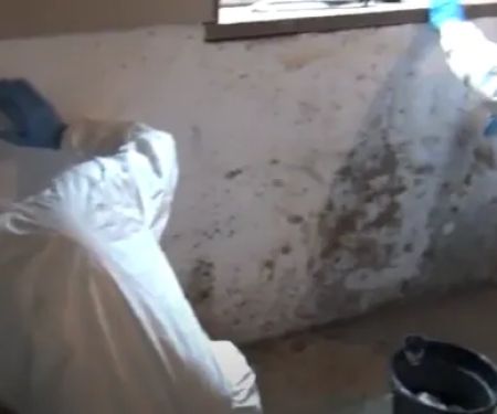 Urgent Mold Removal San Antonio