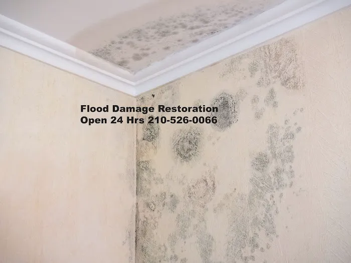 Alamo Heights Water Damage & Restoration Picture 9