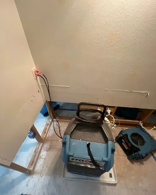 Dry Force Water Removal Specialists Picture 2