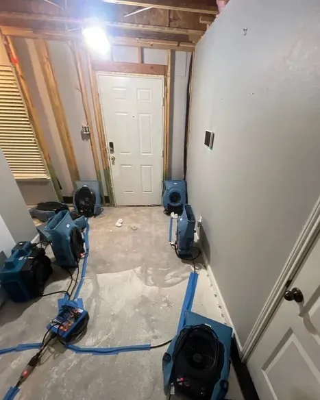 Dry Force Water Removal Specialists Picture 6