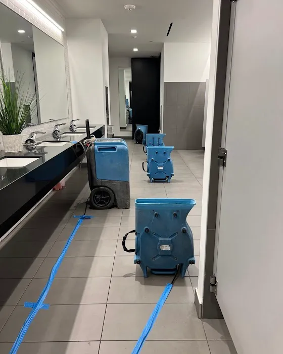 Dry Force Water Removal Specialists Picture 4