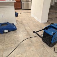 Jenkins Restorations ico