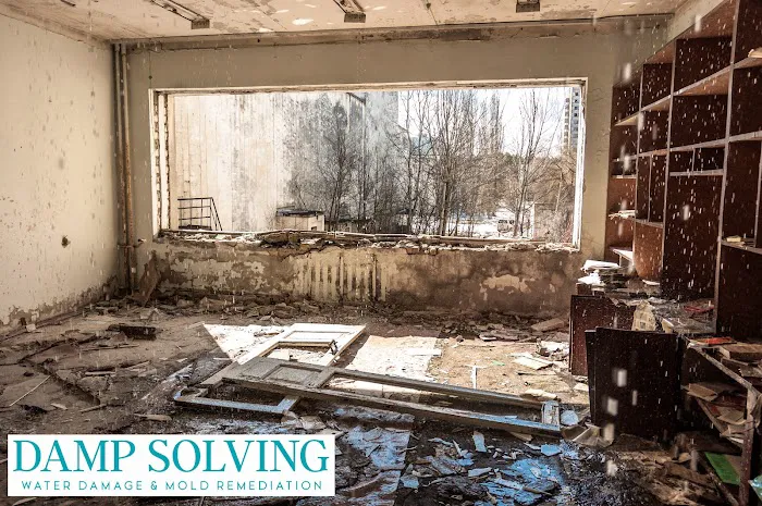 Damp Solving Water & Mold San Antonio Picture 3