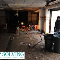 Damp Solving Water & Mold San Antonio ico