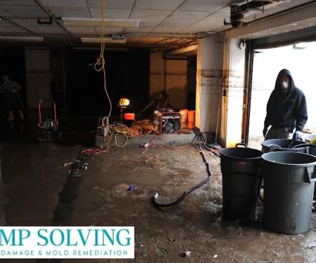 Damp Solving Water & Mold San Antonio