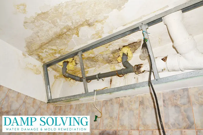 Damp Solving Water & Mold San Antonio Picture 4