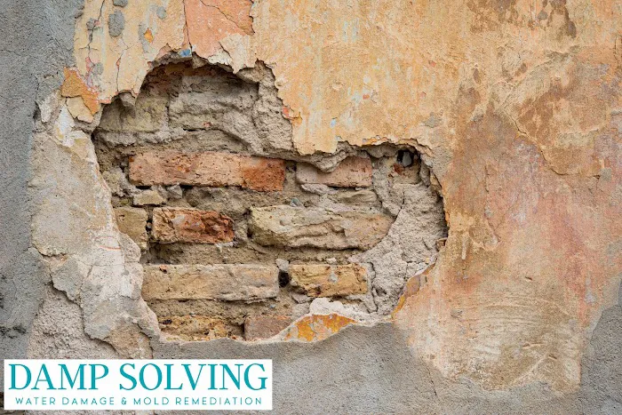 Damp Solving Water & Mold San Antonio Picture 5