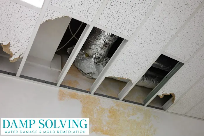 Damp Solving Water & Mold San Antonio Picture 9