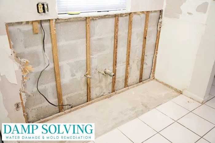 Damp Solving Water & Mold San Antonio Picture 8