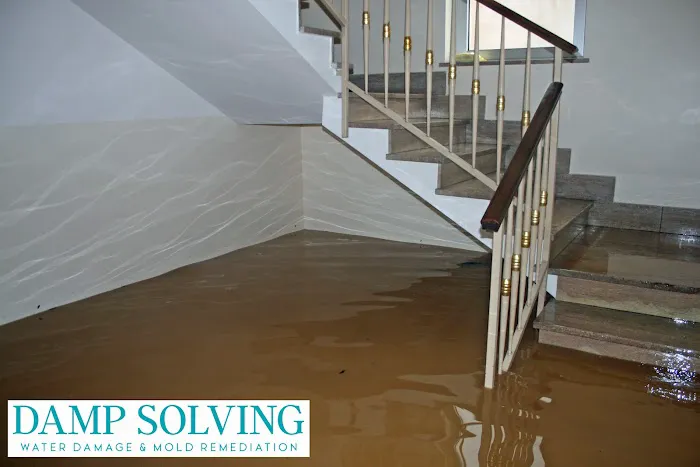 Damp Solving Water & Mold San Antonio Picture 10