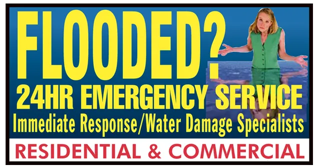 Rhino Cleaning & Restoration Picture 1