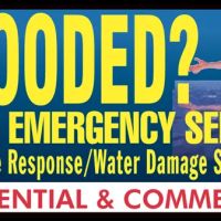 Rhino Cleaning & Restoration ico