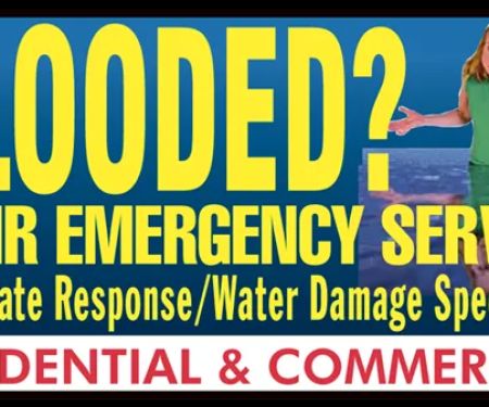 Rhino Cleaning & Restoration