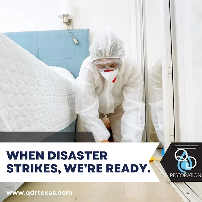 QD Restoration Picture 4