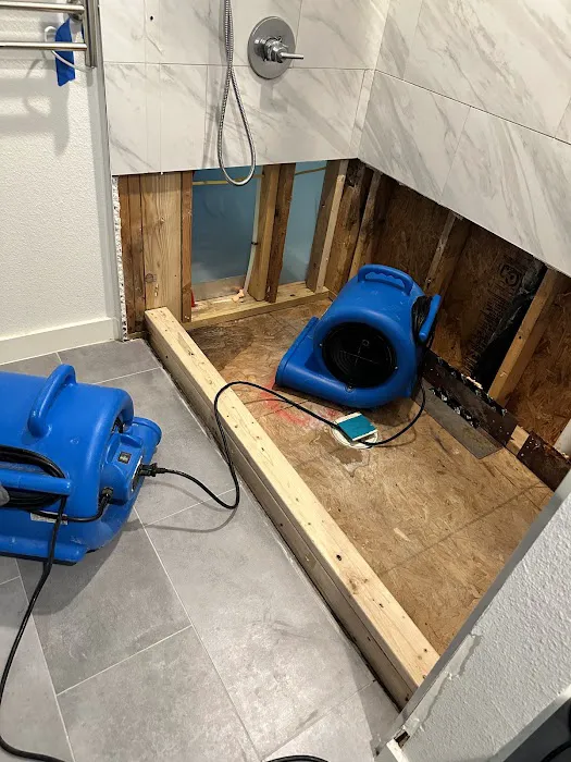 QD Restoration Picture 7