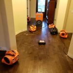 911 Restoration of San Antonio