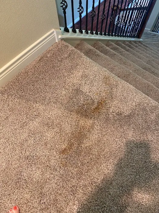 PuroClean of Boerne Picture 2