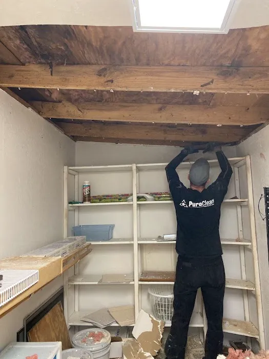 PuroClean of Boerne Picture 3