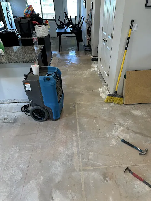 Crown Restoration Picture 4