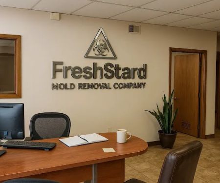 FreshStard Mold Removal Company San Antonio, TX