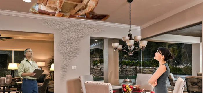 Trident Restoration Picture 3