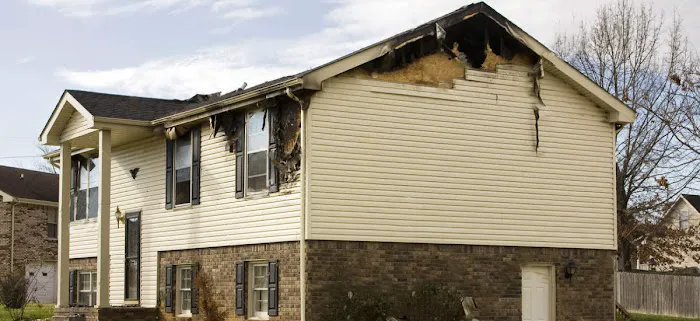 Trident Restoration Picture 2