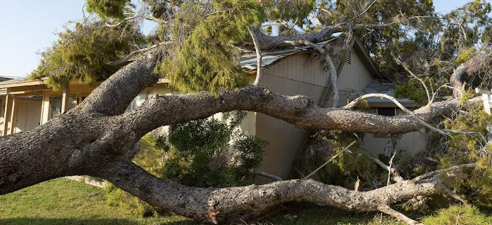 Trident Restoration Picture 5