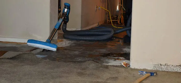 Trident Restoration Picture 6