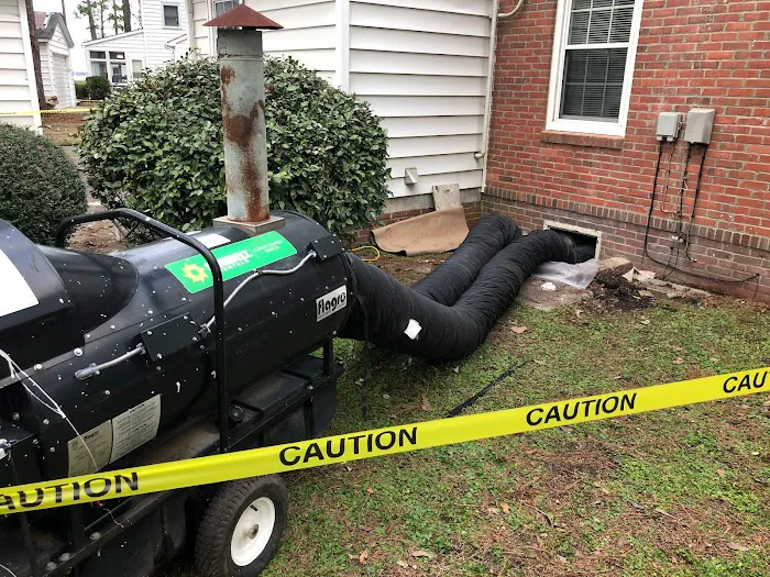 Blackwood Restoration Picture 1