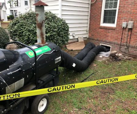 Blackwood Restoration