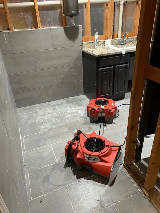 Blackwood Restoration Picture 3