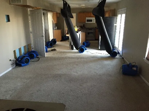 Blackwood Restoration Picture 2