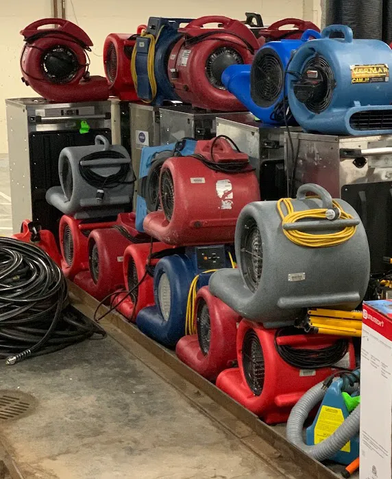 Blackwood Restoration Picture 9