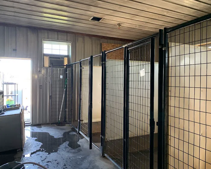 SERVPRO of Schertz Central, Cibolo Picture 8