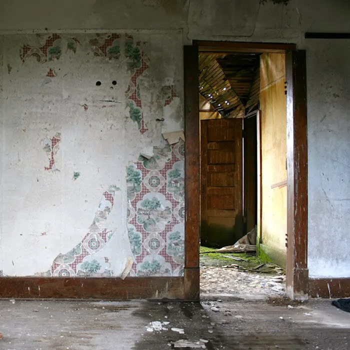 Rainbow International of Boerne Picture 6