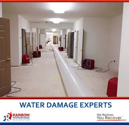 Rainbow International of Boerne Picture 10