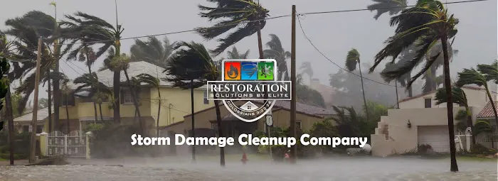 Restoration Solutions by Elite LLC Picture 1