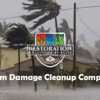 Restoration Solutions by Elite LLC ico