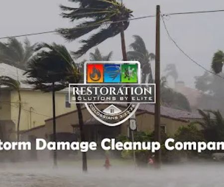 Restoration Solutions by Elite LLC