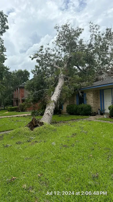 Restoration Solutions by Elite LLC Picture 6