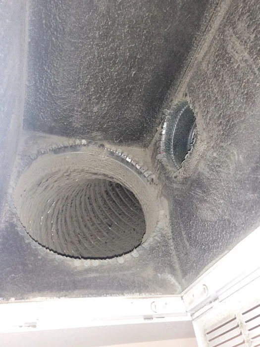 Steam Master Cleaning Boerne Picture 9