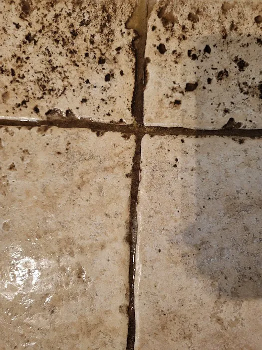 Steam Master Cleaning New Braunfels Picture 9