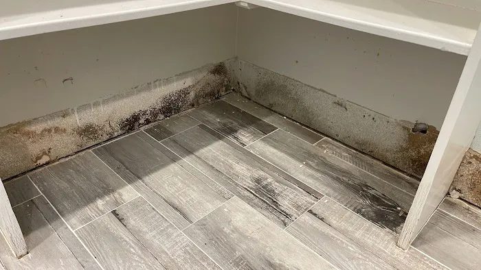 CDG Restoration & Construction Picture 1